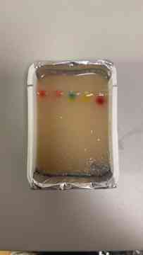 Der DNA auf der Spur -Genetischer Fingerabdruck