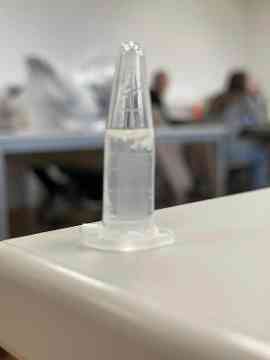 Der DNA auf der Spur -Genetischer Fingerabdruck