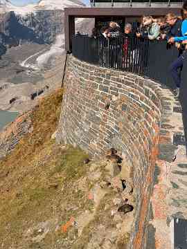 Wanderung mit Weitblick
