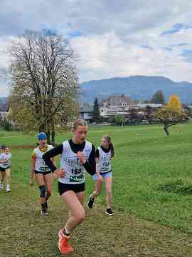 Crosscountry Landesmeisterschaften