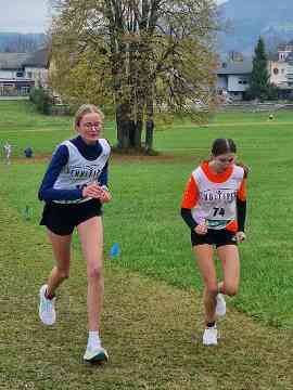 Crosscountry Landesmeisterschaften