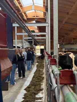 Stallbaufachtage