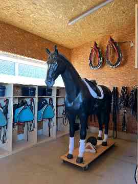 Stallbaufachtage