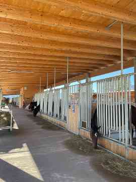 Stallbaufachtage