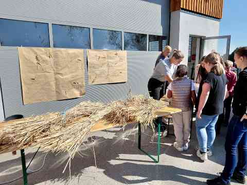 Welt-Ei-Tag
