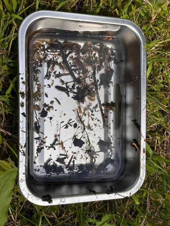 Angewandte Gewässerökologie an der HBLA Pitzelstätten Angewandte Gewässerökologie an der HBLA Pitzelstätten