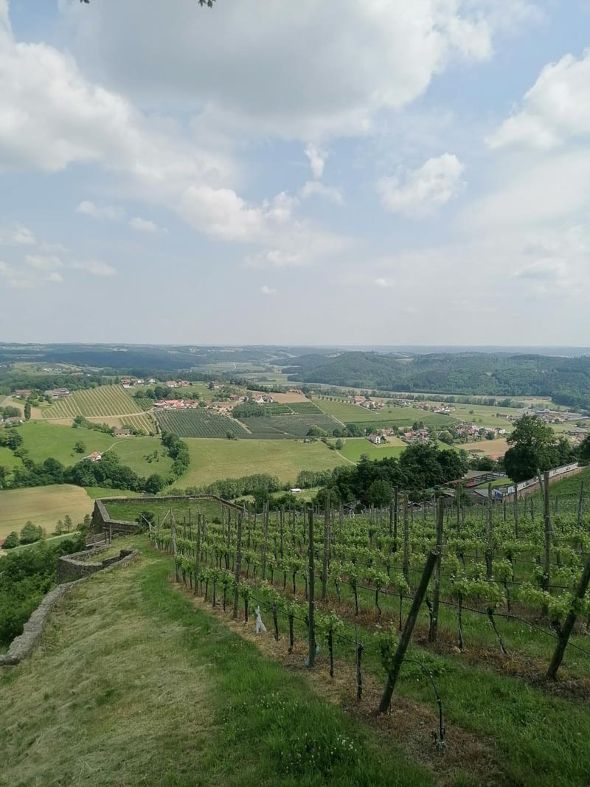 Exkursion 2PMR Steiermark und Burgenland Exkursion 2PMR Steiermark und Burgenland