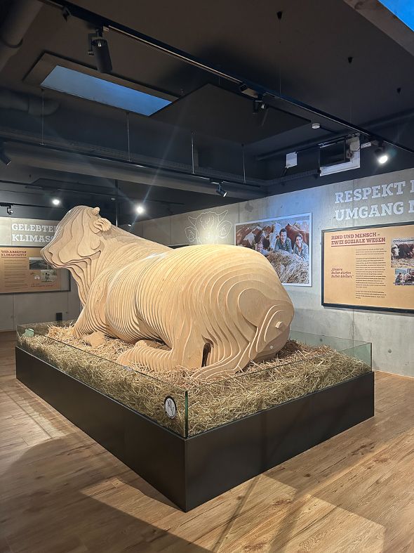 Blumen und Bull Beef Blumen und Bull Beef - Exkursion 3IUM in die Steiermark