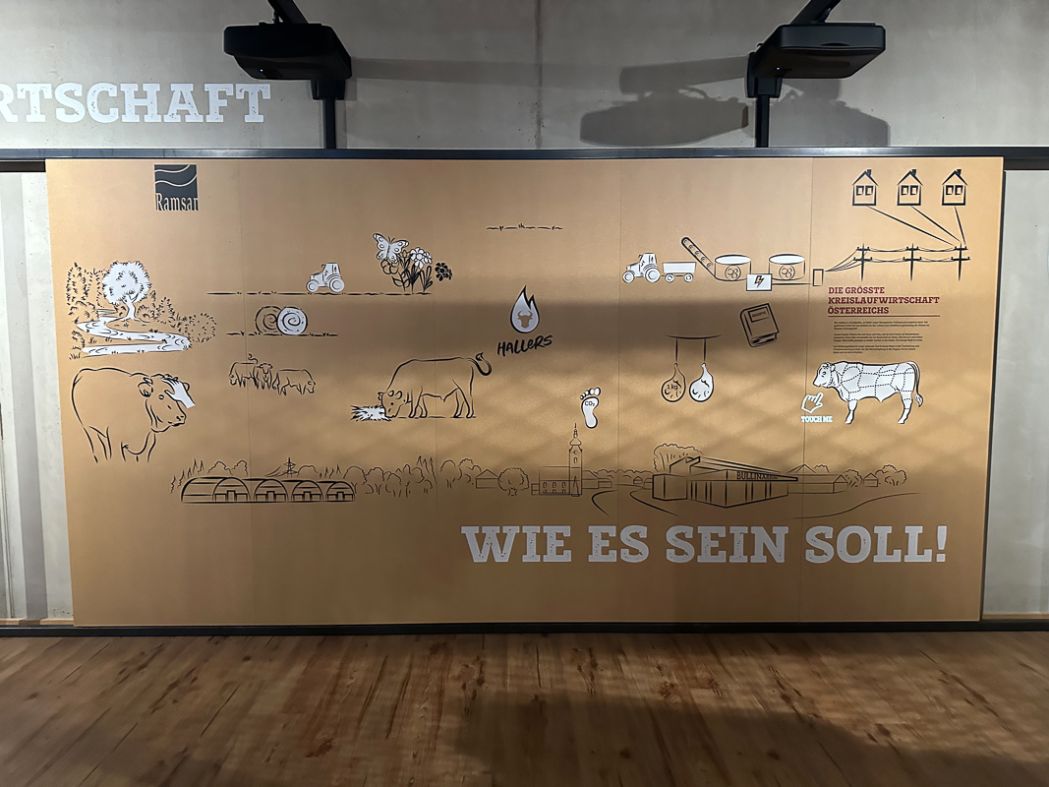 Blumen und Bull Beef Blumen und Bull Beef - Exkursion 3IUM in die Steiermark