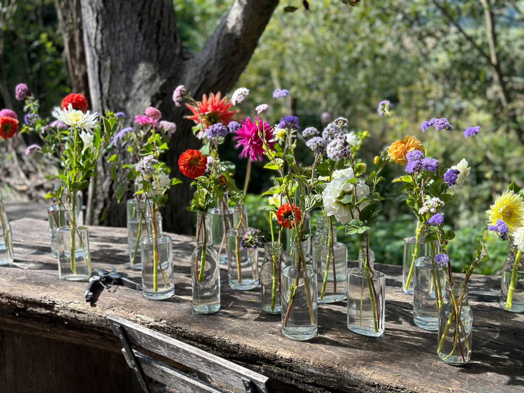 Blumen und Bull Beef Blumen und Bull Beef - Exkursion 3IUM in die Steiermark