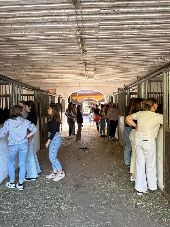 Blumen und Bull Beef Blumen und Bull Beef - Exkursion 3IUM in die Steiermark