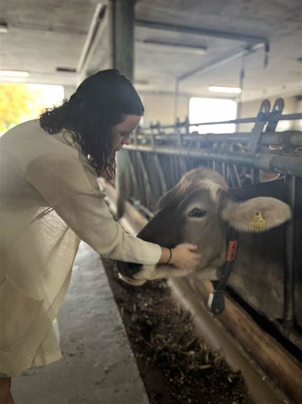 tag der offenen tuer-35