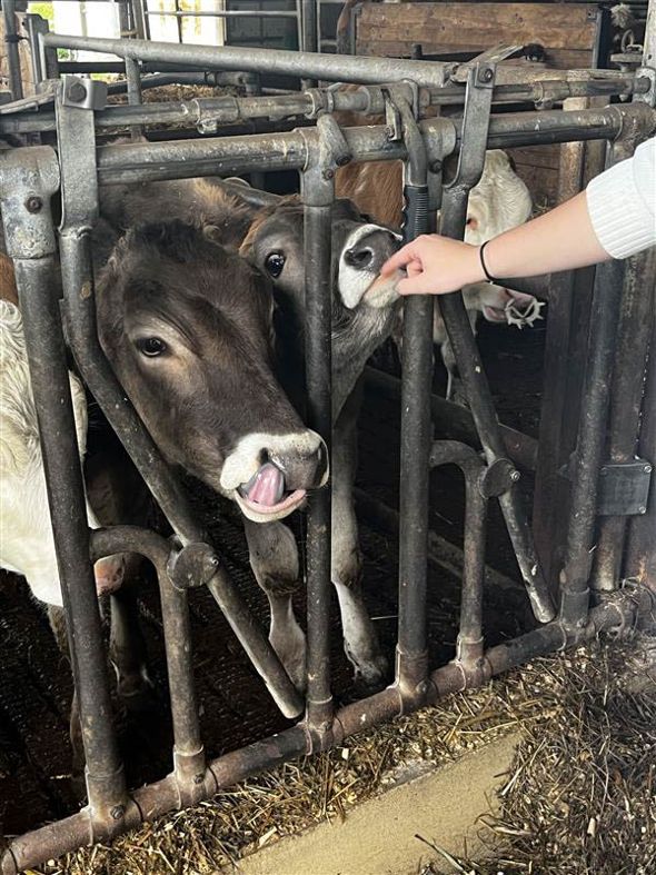 tag der offenen tuer-39