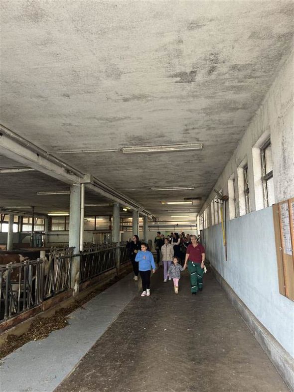 tag der offenen tuer-40